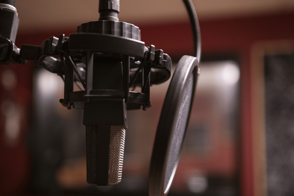 Professional studio microphone and pop filter setup.