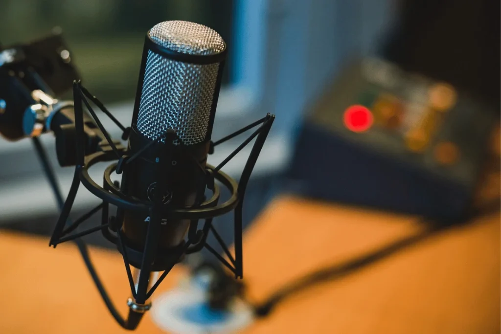 The microphone stands poised, a sentinel awaiting the command to capture sound.