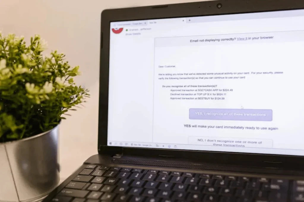 Laptop displaying ActiveCampaign interface and green plant nearby.